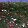 The Field of Remembrance following the attack