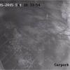 Possible witness