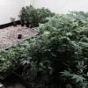 The nursery 