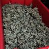 Cannabis head found in commercial unit 