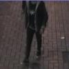 Suspect Mt Vic Indecent Assault Clothing