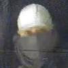Commercial Burglary Identity Sought