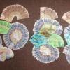 Some of the cash found by Police at a search warrant in Puhoi