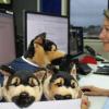 Eye on you; Senior Sergeant Juliet Burgess in the Waikato DCC ahead of today's open day