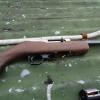 The gun found at the scene