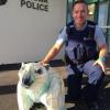 Constable Philip Currie with the young fella, about to make his way home