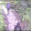 Oakley Creek