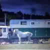 The horse truck that was stolen in Hastings