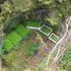Aerial shot of cannabis plot Police sprayed in Northland