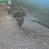 Offender in Octagon/Princes Street assault