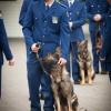 Constable Ben Turner with his old dog, Ponch
