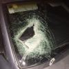 Windscreen 