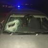 Windscreen 2