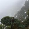 Routeburn Track