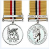War medal