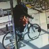Cyclist