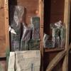 Cash found in wall