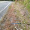 Firework on the side of the road
