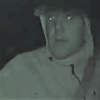 Offender fled the taxi on foot