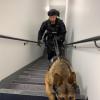 AOS Dog Handler Sam Bennett and Arlo