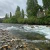 Pair rescued from the Motueka River on Sunday
