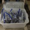 Over a million dollars' worth of cash was also seized