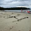 Stewart Island 