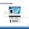 Firearms Licence Guide 