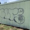 The outside of the homes were vandalised. 