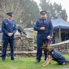 Constable Andrew Smart and Talon at graduation watched on by Sergeant Scott Robinson