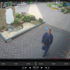 Joe was sighted Friday walking eastwards on Elizabeth Street, Waikanae.