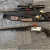 Seized firearms - hunting rifle and shotgun