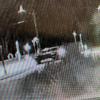 Hit and run - Invercargill