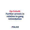 Further arrests