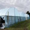 Police have seized millions of dollars’ worth of cannabis plants