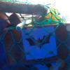 Cocaine located in the Pacific Ocean. Photo / NZDF