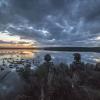 Stay safe this duck hunting season