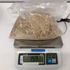 Police allege the group were responsible for organising the import of a significant quantity of illegal drugs into New Zealand.
