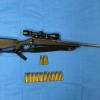 Firearm and ammunition seizued, Op Elusive