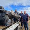 ‘Sophie’ the dinosaur, and her life-size gorilla friend were located at one of the addresses