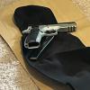 Operation Audi firearm seized