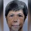 Police have grave concerns for the safety and wellbeing of Mei Han Chong.