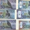 A large sum of forged banknotes was discovered at the address