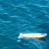 Lake Taupō paddleboarder rescue