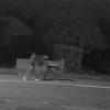 Christchurch Police are after information about recent instances of powerline tampering.