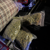 Police discovered more than three quarters of a million dollars in cannabis stacked in a ute.
