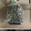 Almost 500 grams of cannabis was also found in the vehicle