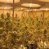 A joint operation has targeted and disrupted operations set up at rental properties