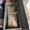 Cannabis seized