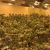 Grow house